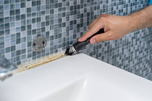 Best Black Mold Remediation in Talahi Island, GA